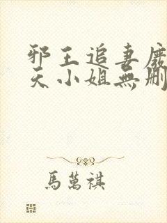 邪王追妻废材逆天小姐无删减封面