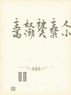 主奴被主人调教高潮失禁小说