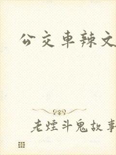 公交车辣文高h封面