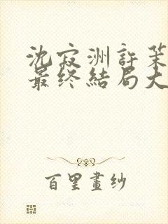 沈寂洲许茉孟姣最终结局大结局封面