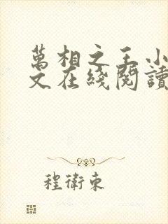 万相之王小说全文在线阅读