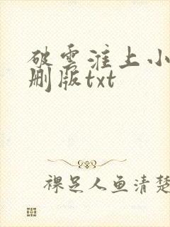 破云淮上小说未删版txt