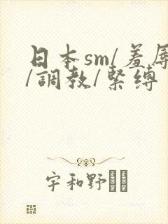 日本sm/羞辱/调教/紧缚