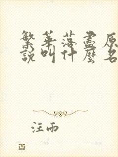 繁华落尽原著小说叫什么名字封面