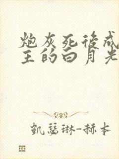 炮灰死后成了女主的白月光笔趣阁