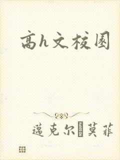 高h文校园封面