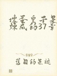 坏蛋皇子是怎样炼成的37章封面