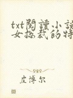 txt阅读小说女总裁的特种保镖