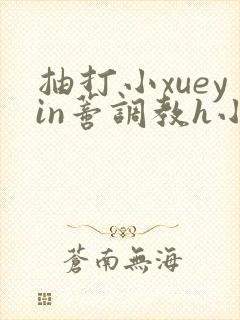 抽打小xueyin蒂调教h小说