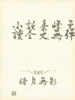 小说秦峰免费阅读全文无弹窗封面