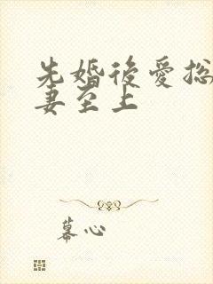 先婚后爱总裁宠妻至上