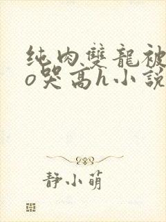 纯肉双龙被cao哭高h小说