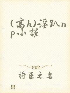 (高h)淫趴np小说
