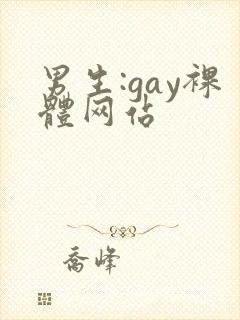男生:gay裸体网站