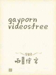 gaypornvideosfree