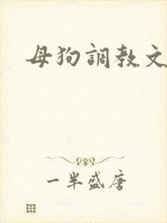 母狗调教文h封面