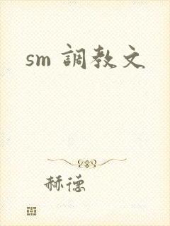 sm 调教文