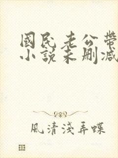 国民老公带回家小说未删减