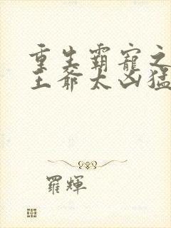 重生霸宠之摄政王爷太凶猛