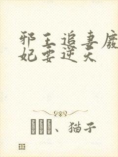 邪王追妻废材狂妃要逆天