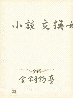 小说 交换女友封面
