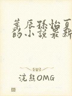 叶辰孙怡夏若雪的小说最新封面