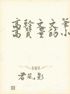 高干文文笔好的高质量的小说现代言情