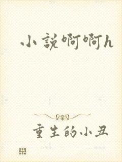 小说啊啊h