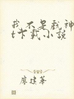 我不是戏神txt下载小说