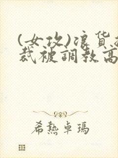 (女攻)浪货总裁被调教高h