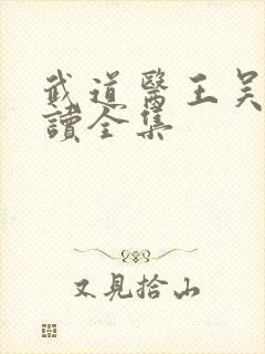 武道医王吴东阅读全集