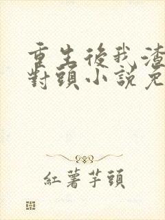 重生后我渣了死对头小说免费阅读