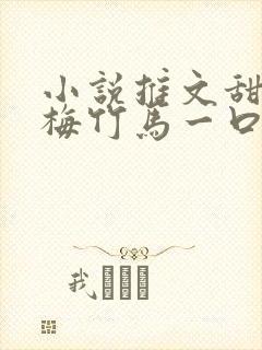 小说推文甜文青梅竹马一口气看完封面