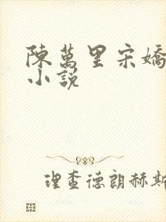 陈万里宋娇娇的小说