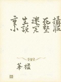 重生迷死摄政王小说完整版阅读全文