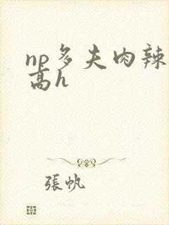 np多夫肉辣文高h封面