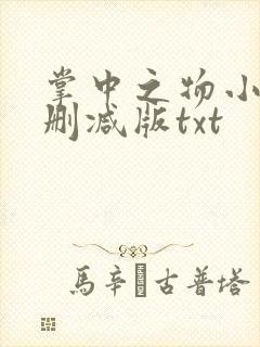 掌中之物小说未删减版txt封面