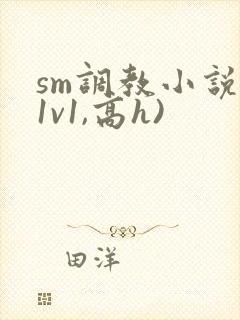 sm调教小说(1v1,高h)