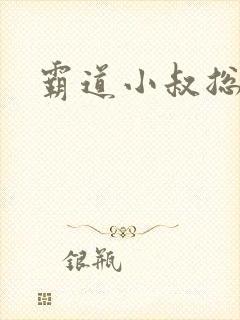 霸道小叔总裁文