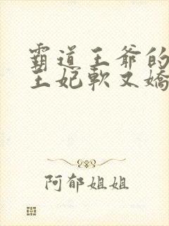 霸道王爷的替嫁王妃软又娇 小说