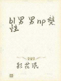 bl男男np双性封面