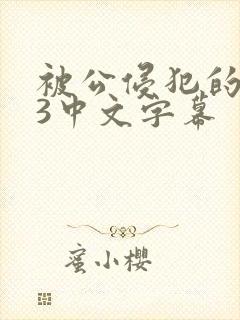 被公侵犯的人妻3中文字幕