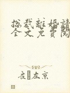 总裁离婚请签字全文免费阅读全文封面