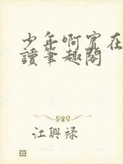 少年啊宾在线阅读笔趣阁