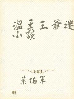温柔王爷迷糊妃小说