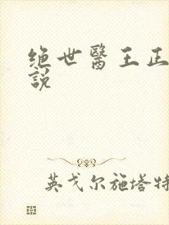 绝世医王正版小说