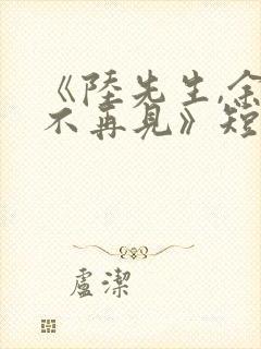 《陆先生,余生不再见》短剧