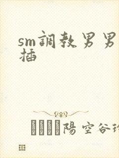sm调教男男互插