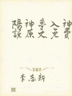 阳神梦入神机小说原文免费阅读