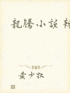 龙腾小说 辣文封面